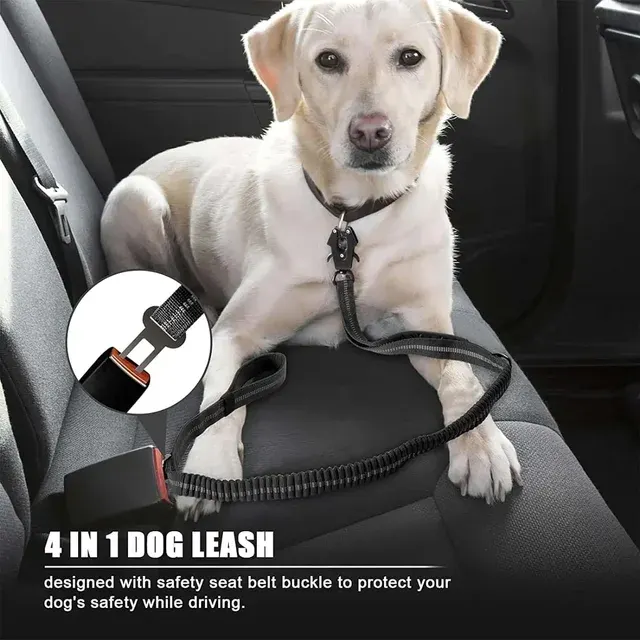 Dog Bungee Leash 3