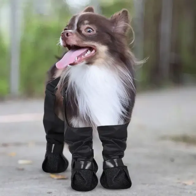 Dog Rain Boots 3