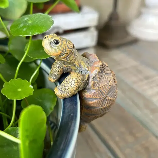 Turtle Hanging Planter 4