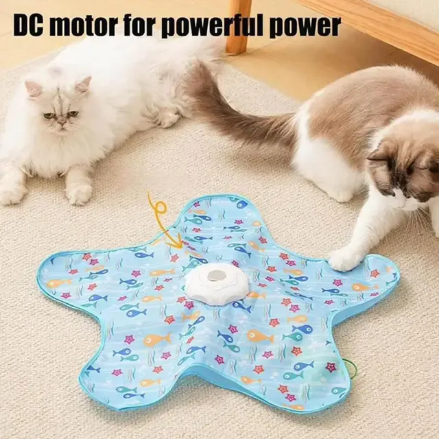 Interactive Cat Hide and Seek Toy with Squeaky Mouse 3