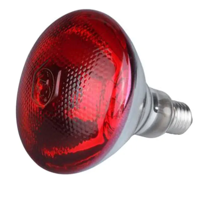 Poultry Heat Lamp 2