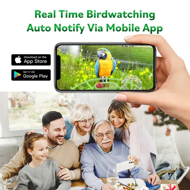 Smart Bird Feeder Featuring AI-Powered Recognition Solar-Powered Low-Power 3