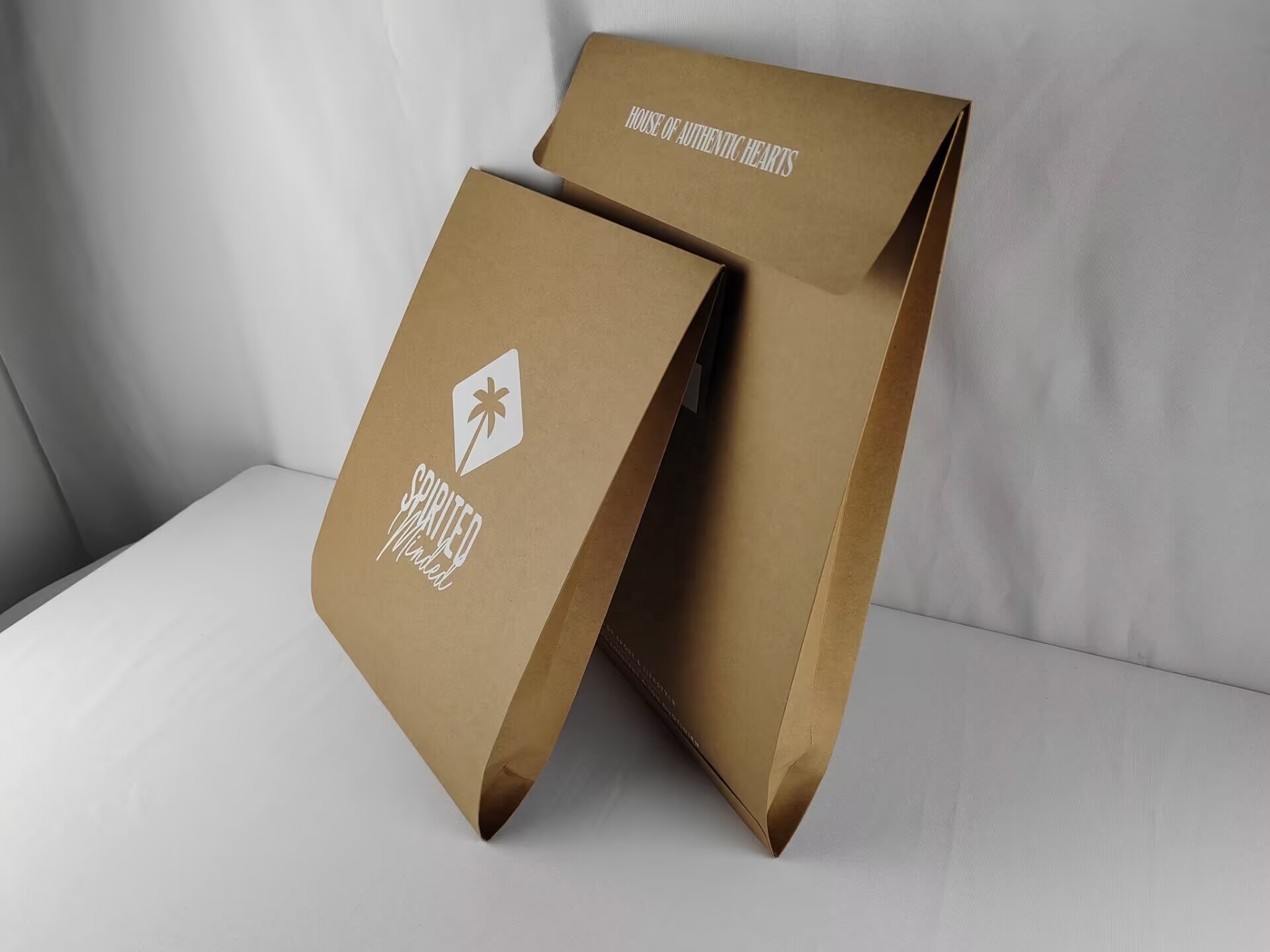 Waterproof Recyclable Kraft Paper Mailer 2