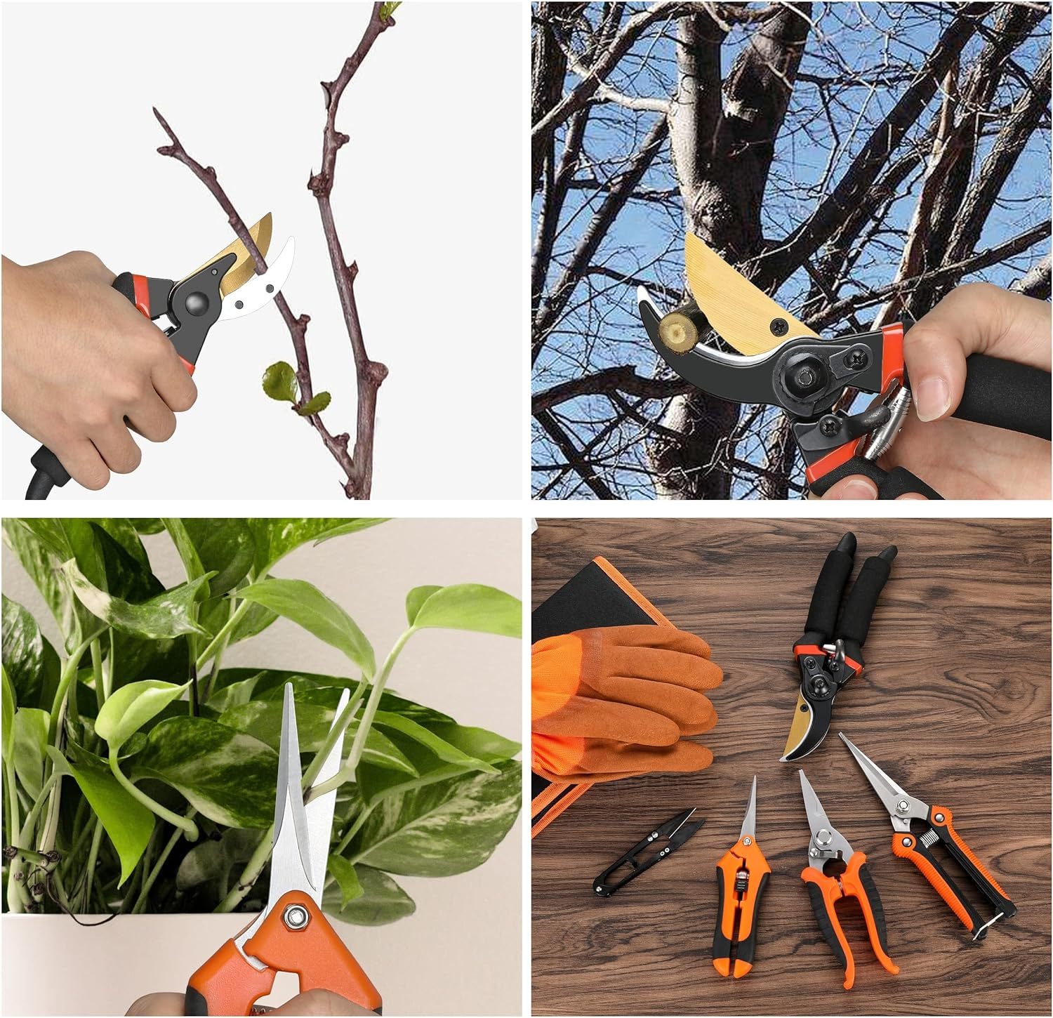 5-teiliges Profi-Gartenschnitt-Set 4