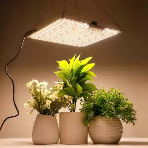 LED-Wachstumslampe 500W 600W 800W 1000W Dioden-Vollspektrum-Quantum-Board Geräuscharm für