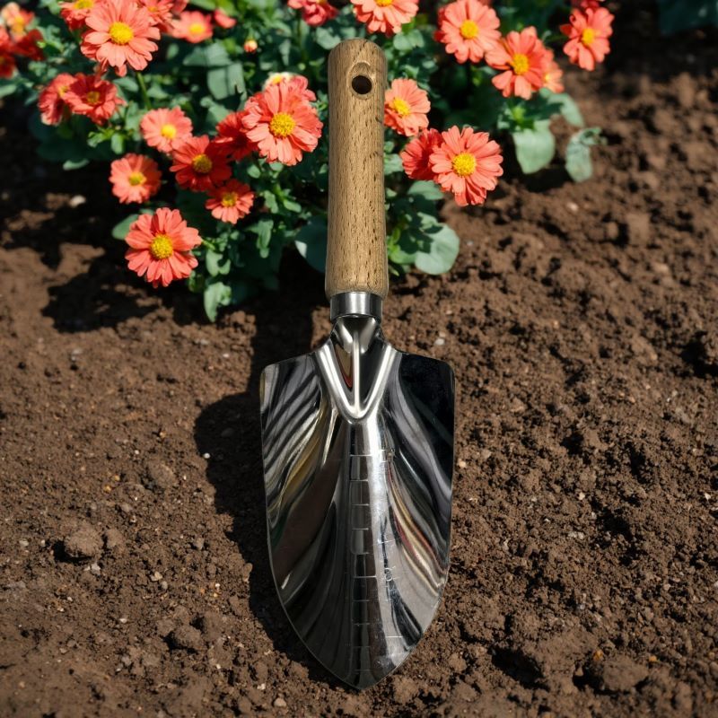 Stainless Steel Garden Tool Set, Wooden Handle 2