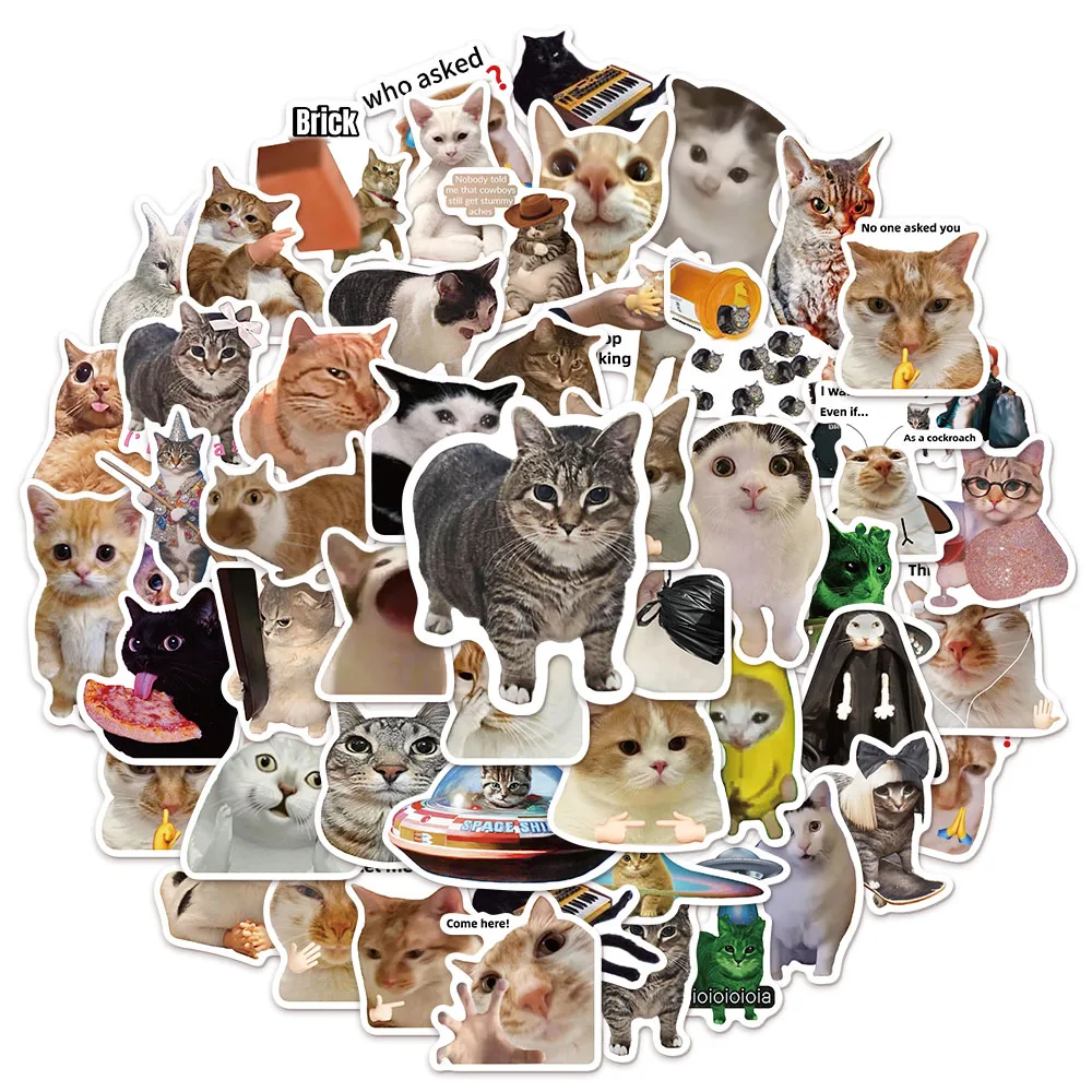 Katzen-Meme Wasserflaschen-Aufkleber Set 2
