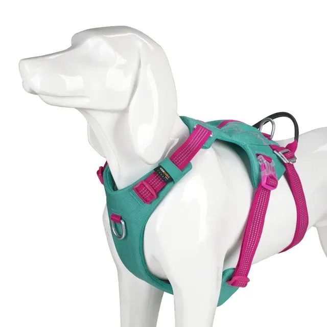 Ausbruchsicheres Hundegeschirr 3