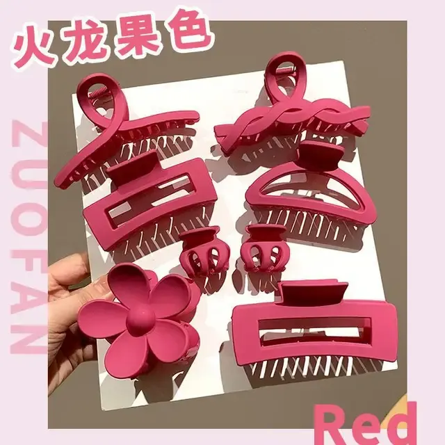 Hair Clip 2