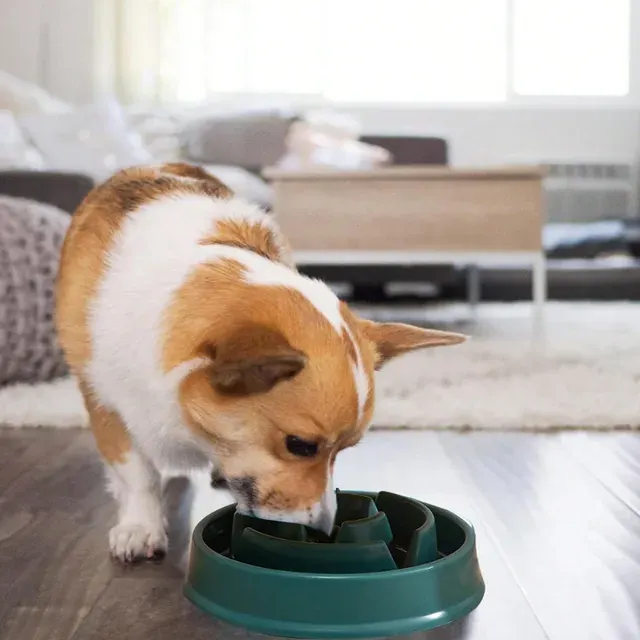 Slow Feeder Pet Bowl 2