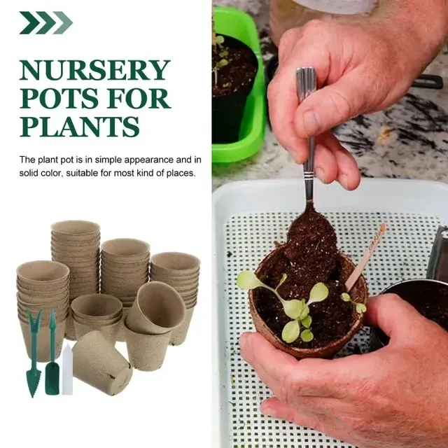 Biodegradable Paper Seed Starter Trays 3