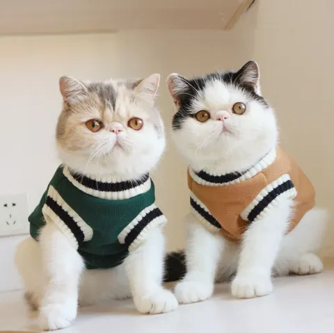 American College Style Fleece Cat Knit Sweater Sleeveless
