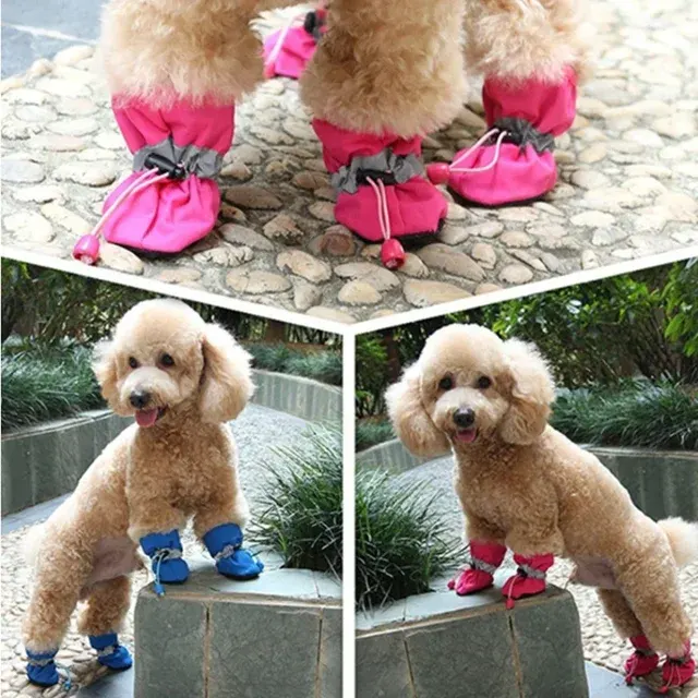 Hundeschuhe 3