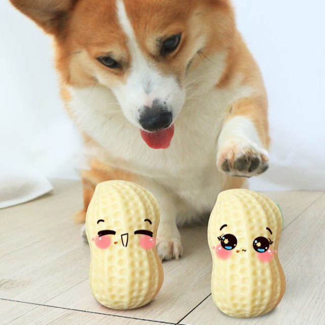 Squeaky Rubber Peanut Toy for Small Dogs