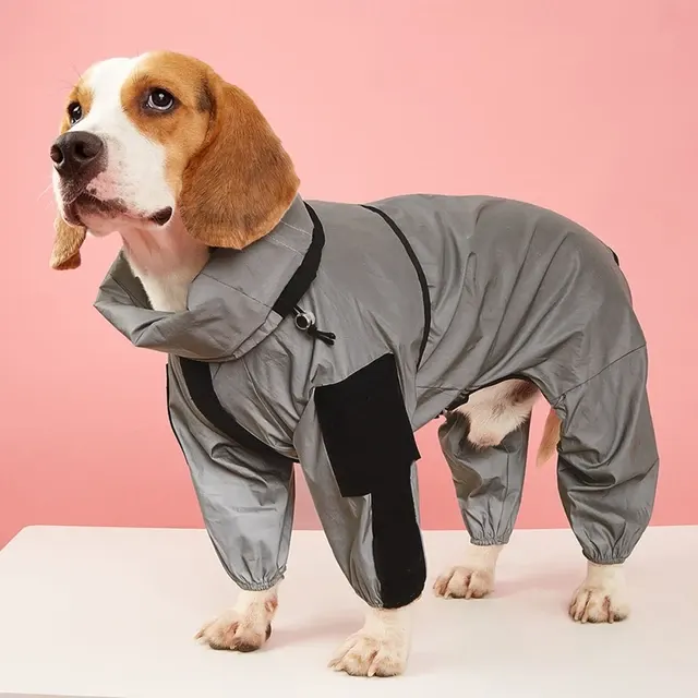 Hunde-Regenoverall 2