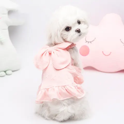 Hundekleid