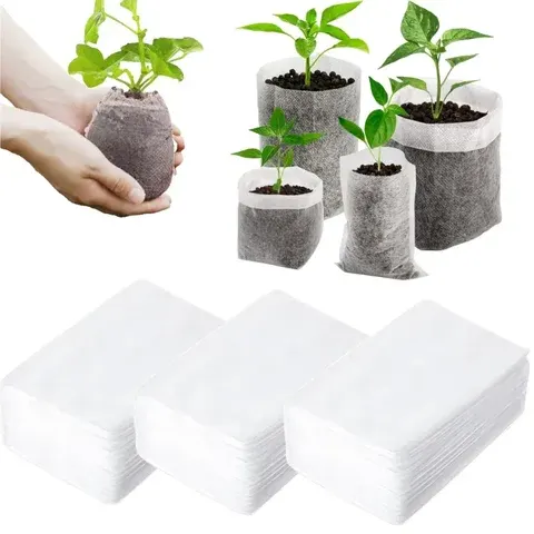 Seedling Bag