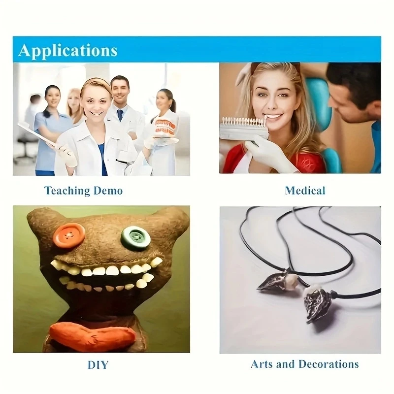 28 Stücke Dental Ausbildung Modell Permanent Zähne Harz 2