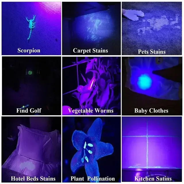 Rechargeable 365nm Aluminum UV Flashlight 4