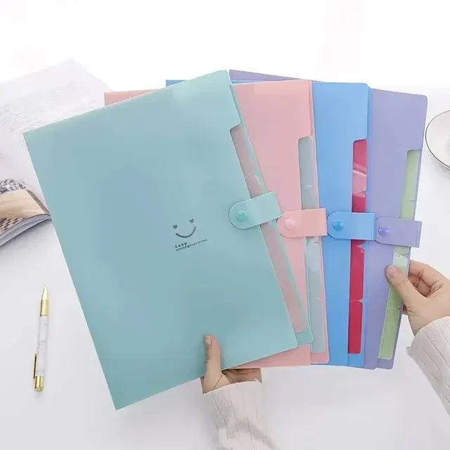 Accordion File Folder 2