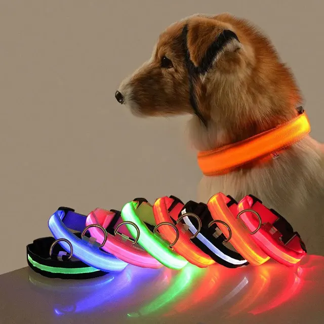 LED Dog Collar 2