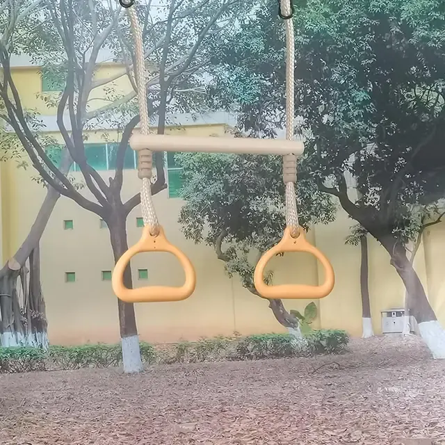 Swing Bar with Fitness Rings 3