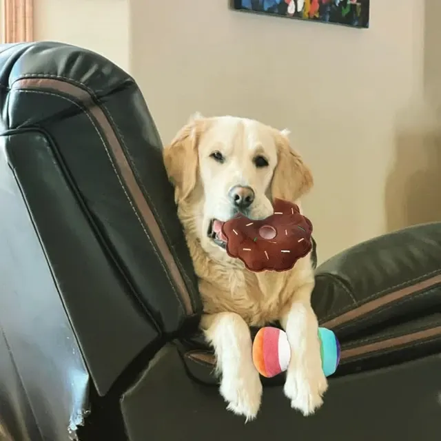 Plush Dog Toy Set 4