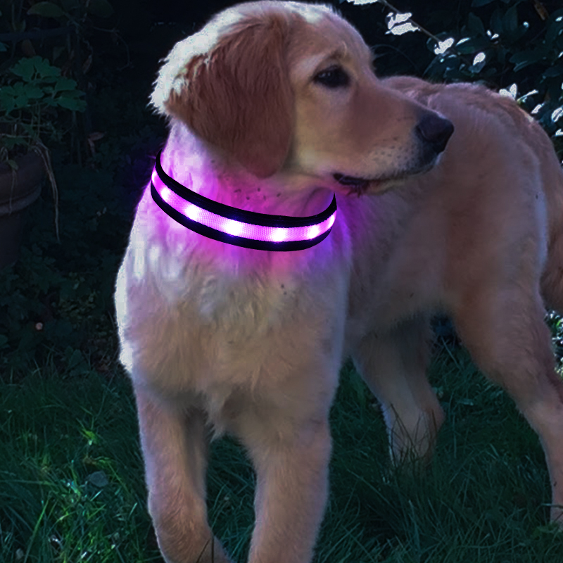 USB-LED-Halsband mit Farbwechsel 3