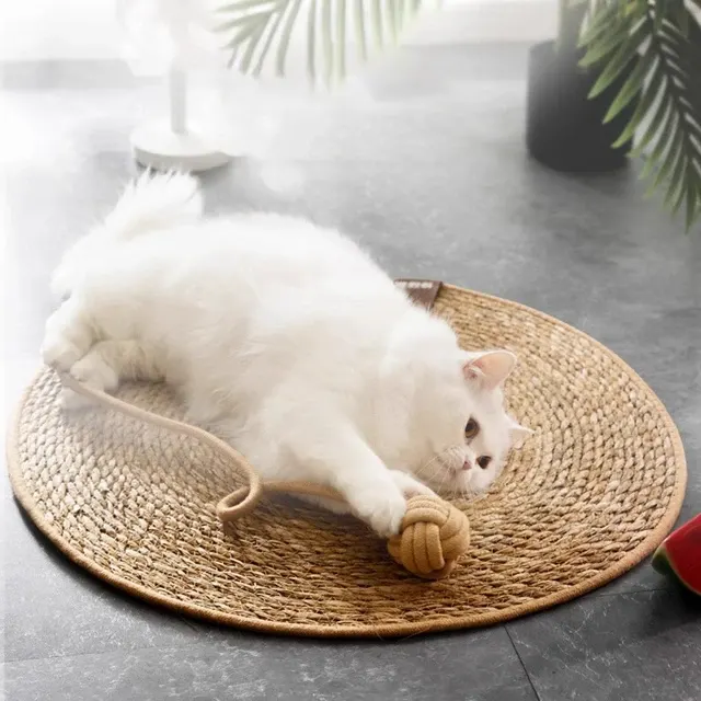 Cat Scratching Board 2