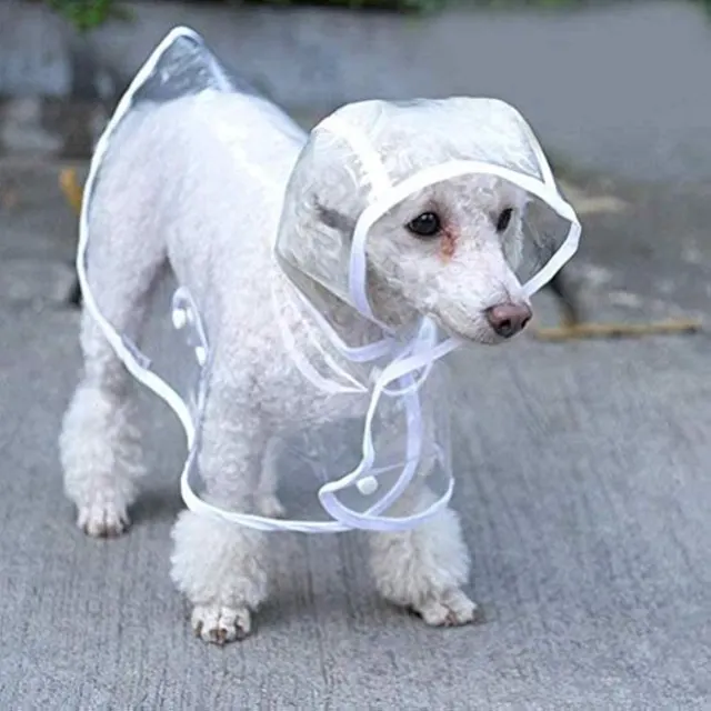 Clear Raincoat For Small Medium Dogs Pet Waterproof 1