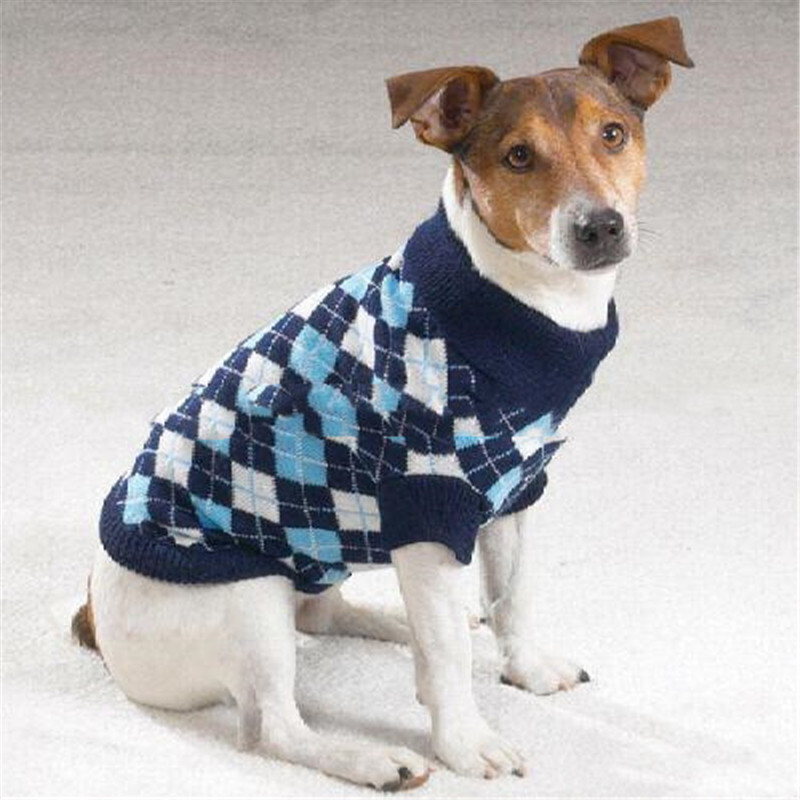 Hundepullover 2