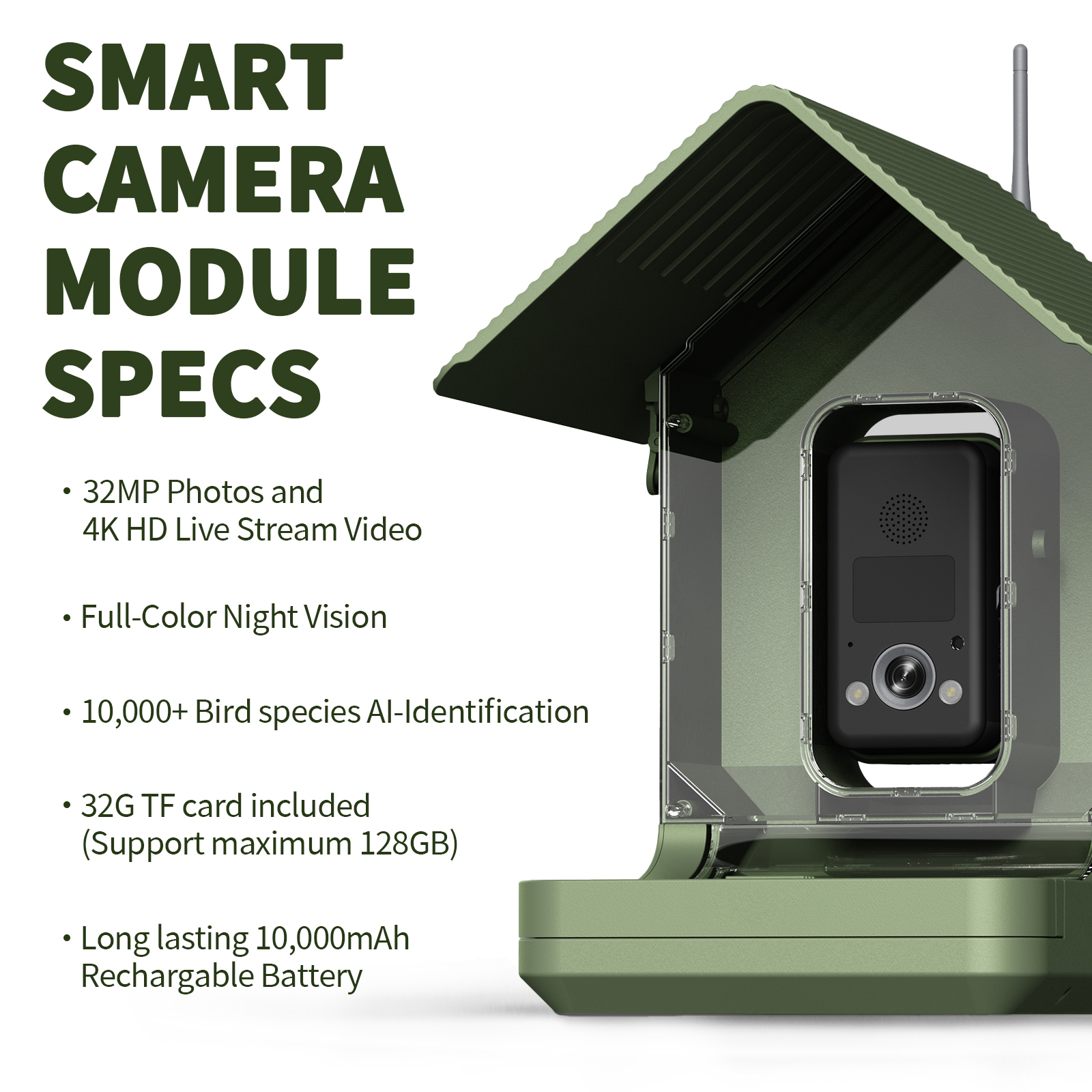4K Ultra HD Bird Feeder With AI Species 3