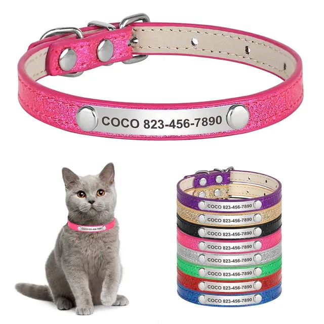 Personalized Cat Collar 2