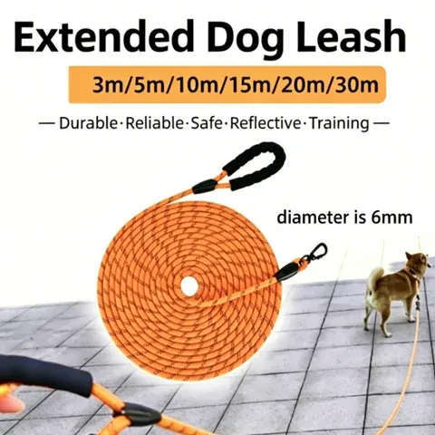 Dog Leash
