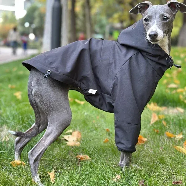 Hundewinterjacke 1