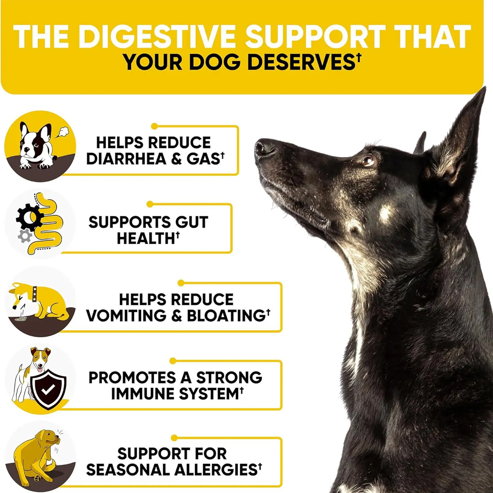 Probiotic Enzyme Soft Chews for Dogs 2
