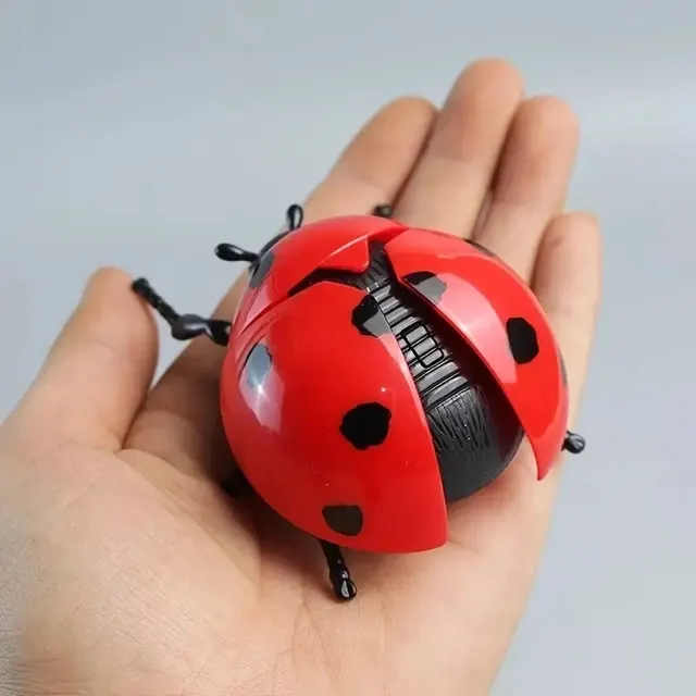 Cute Chain Winding Insect Toy Set 2