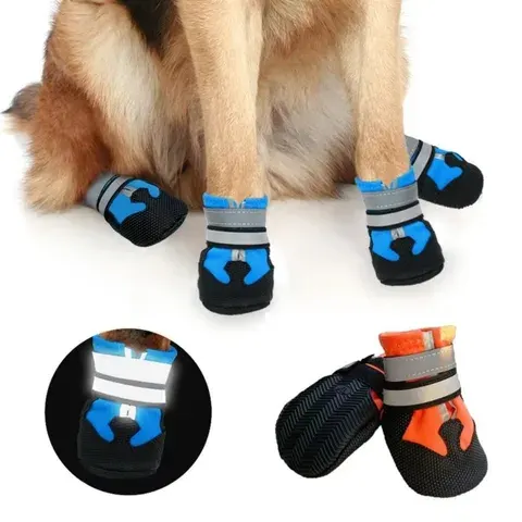 Hunde-Sportschuhe