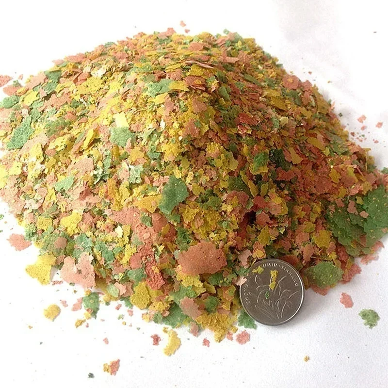 fish food 3
