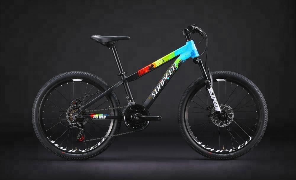 29er Sport Mountain Bicycle 2