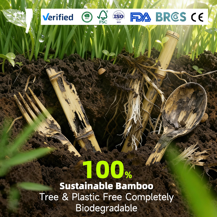 Compostable Disposable Bamboo Cutlery Set 2