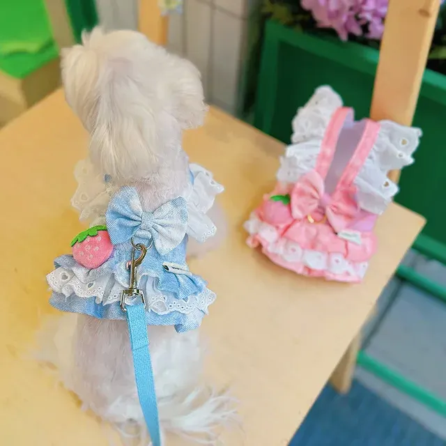 Hundekleid Denim 4