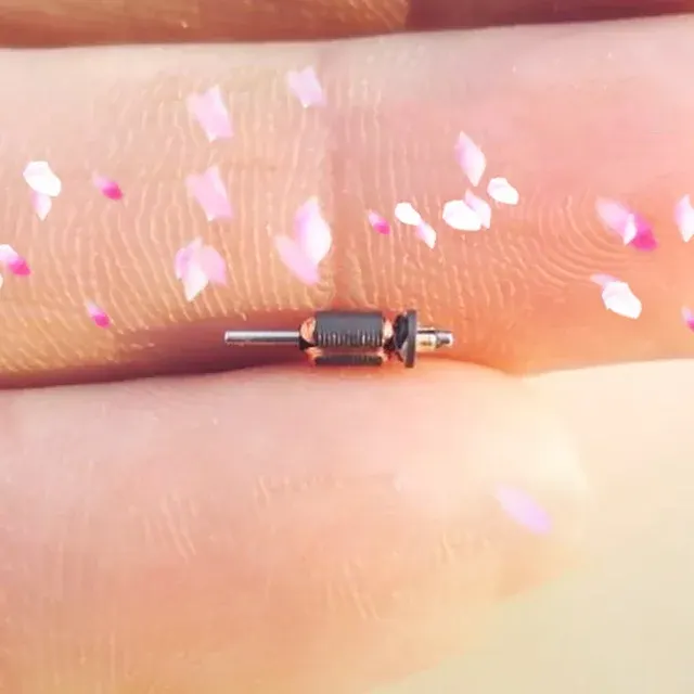 Micro Vibration Motor 2