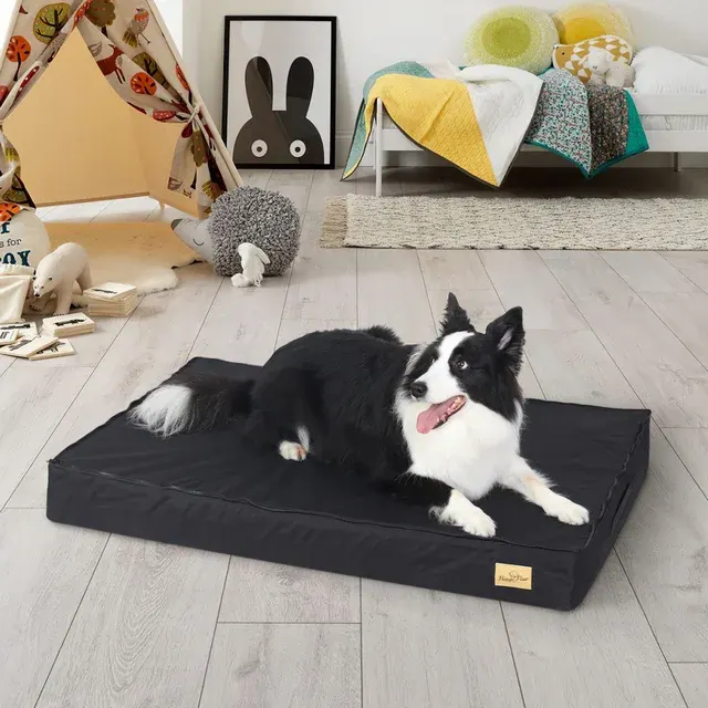 Orthopedic Dog Bed 2