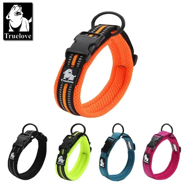 Hundehalsband 1