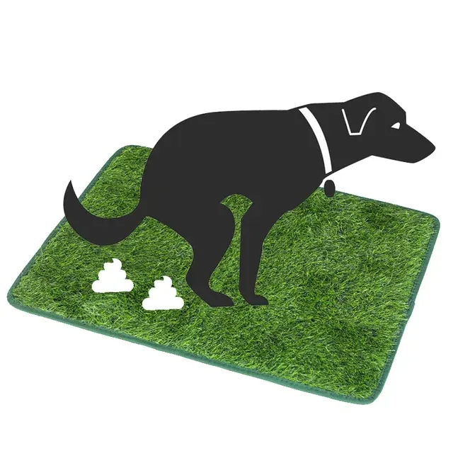Dog Toilet Training Pad 2