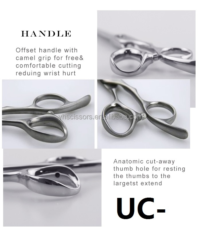 Wide 8-Inch Professional Dog Grooming Scissors 3