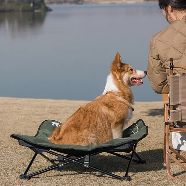Collapsible Pet Bed 1