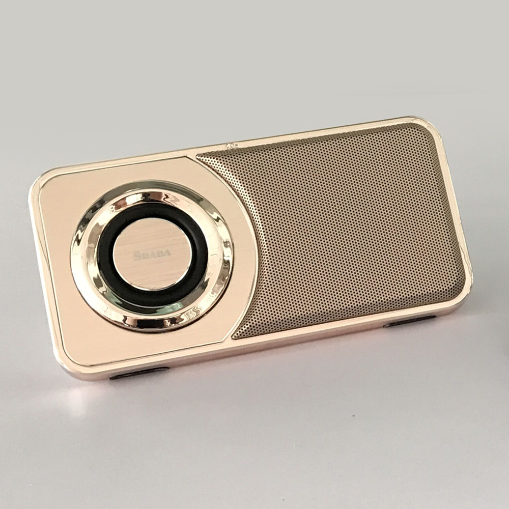 Tragbarer Bluetooth-Lautsprecher