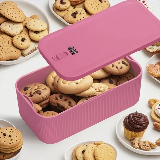 Lockable Storage Box 3